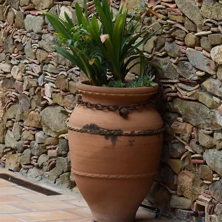 Mas Font - Nature Bike Casa rural Aiguaviva